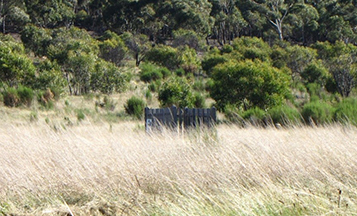 Photo Ellen Batman's Grave Site