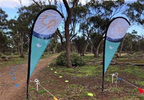 Eynesbury-Junior-Park-Run.jpg