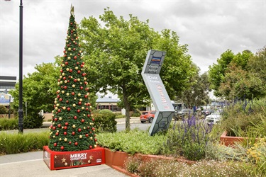 Christmas Tree in Caroline Springs