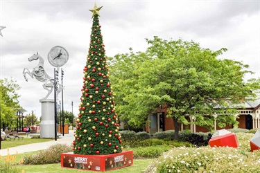 Christmas Tree in Melton