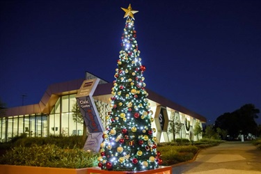 Christmas tree at CS Gallery at night
