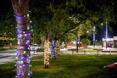 Christmas tree in Melton night