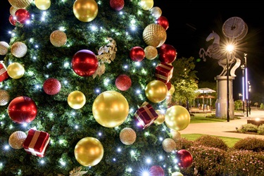 Christmas tree in Melton night