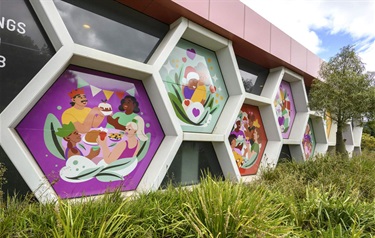 2025 Christmas in Melton