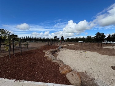 Punjel-Drive-Reserve-landscaping.jpeg