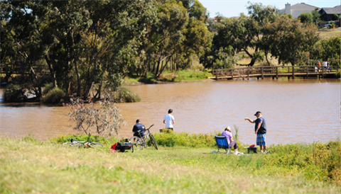 Navin Park Catch a Carp Day event.png
