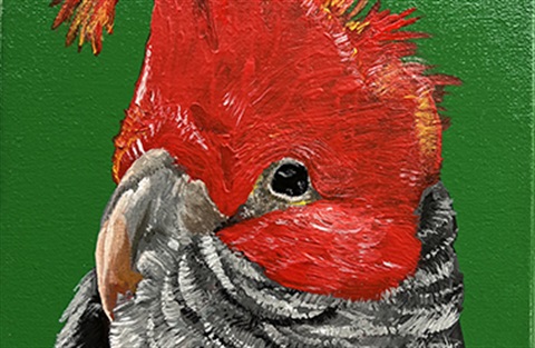 Conversations with Birds