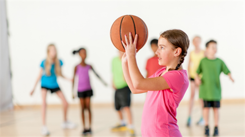 holiday hoops basketball