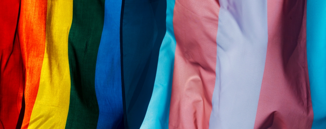 202601_Pride In Our Libraries_carousel image.jpg