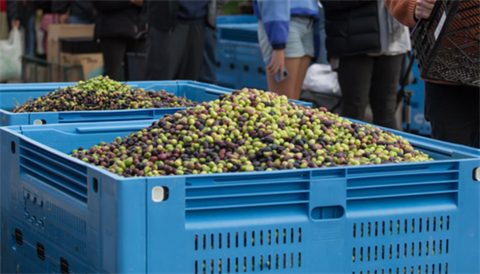 olives