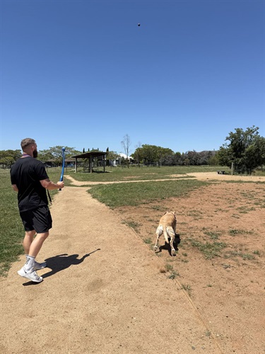 Boronia Drive Dog Off Lead Area 2