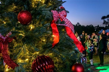 Carols by Candlelight 2024 Christmas tree