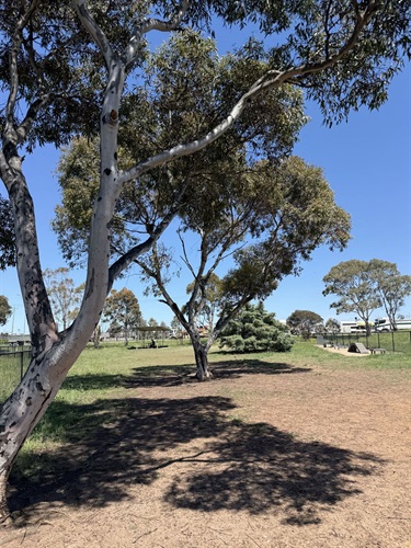 Diggers Rest Dog Off Lead Area 4