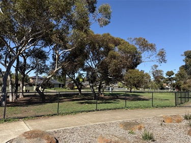 Fraser Street Reserve Dog Off Lead Area 4