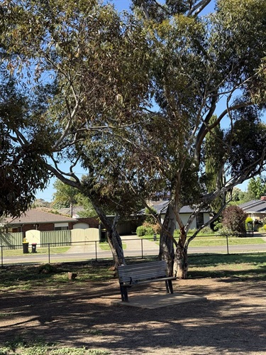 Fraser Street Reserve Dog Off Lead Area 6