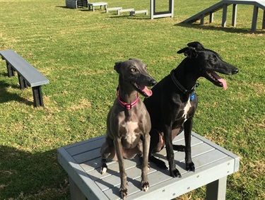 Iverson Circuit Dog Off Lead Area 5