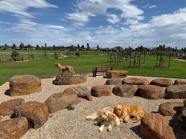 Wildwood Road Dog Off Lead Area 1