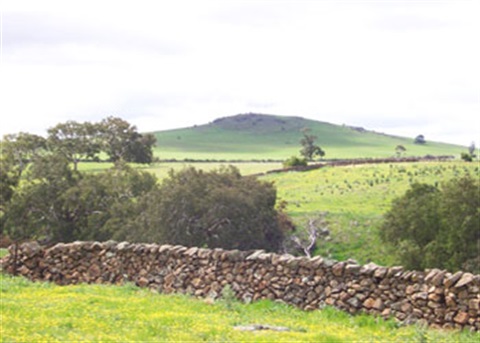 heritage - Dry Stone Wall - Moylans Wall.jpg