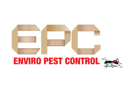 logo-with-ant-02
